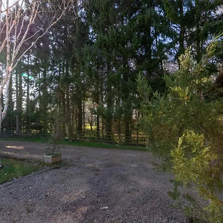 Feriehus 2 Bed In Masham Oc-Ds948 *